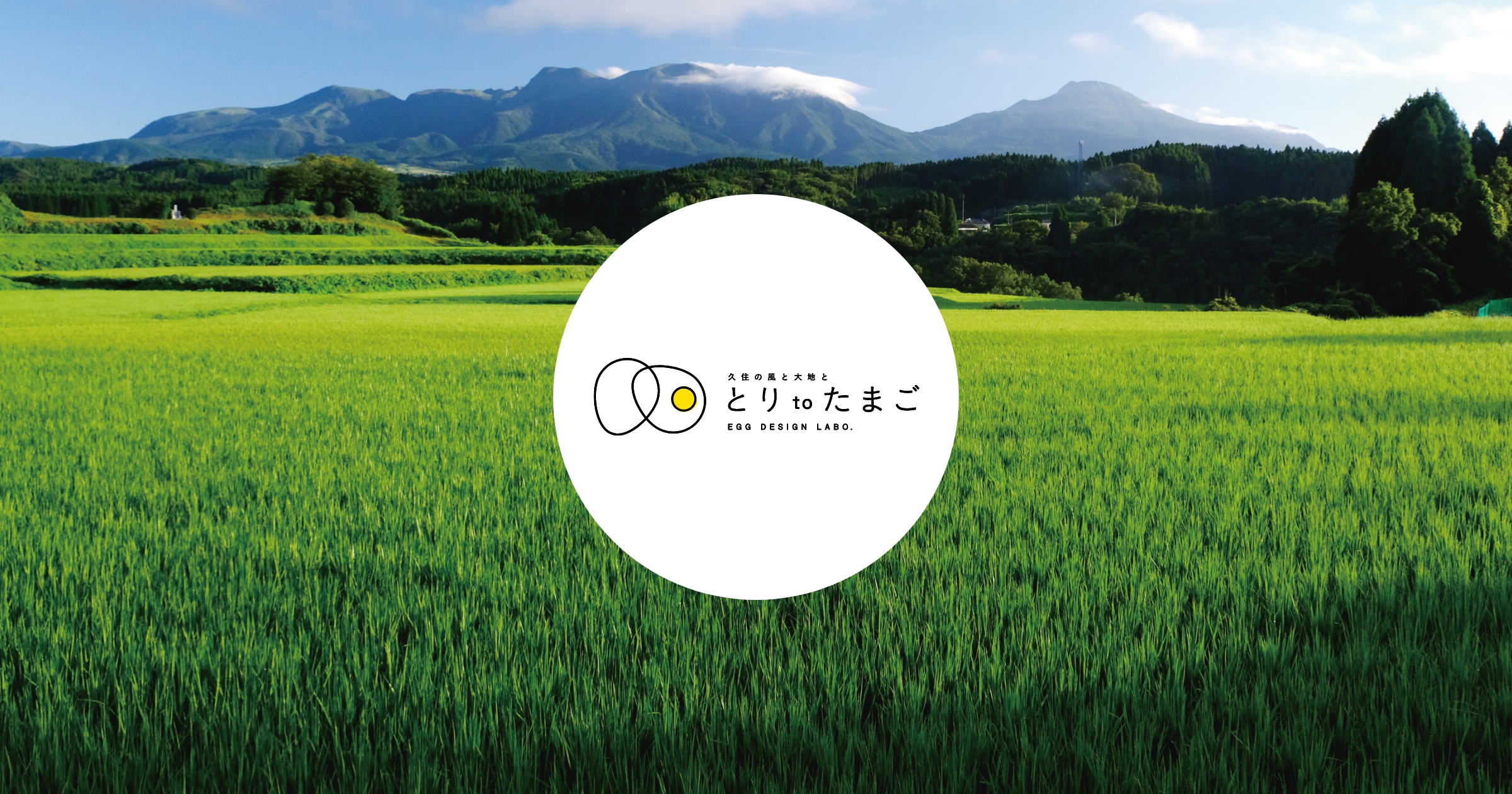 -養鶏場直営-とりtoたまごの写真(大分県竹田市)
